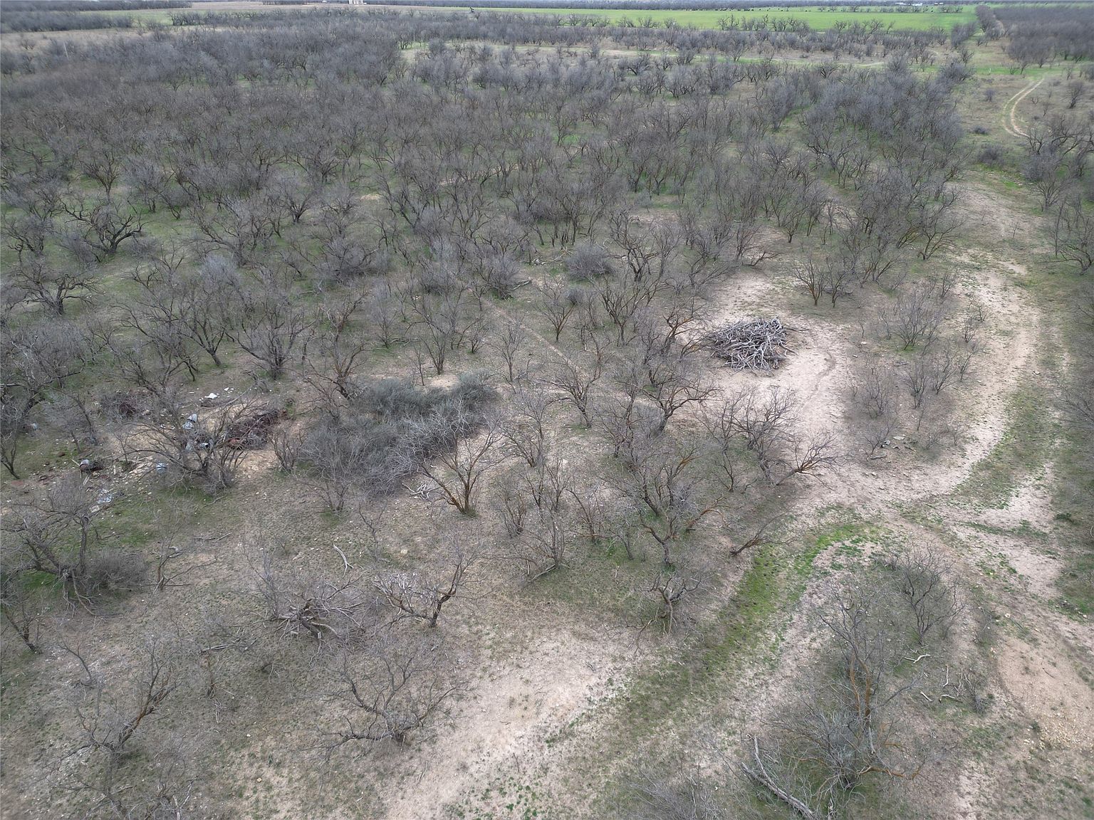 17 County Road 150 Abilene, TX 79601 | Land/Lot
