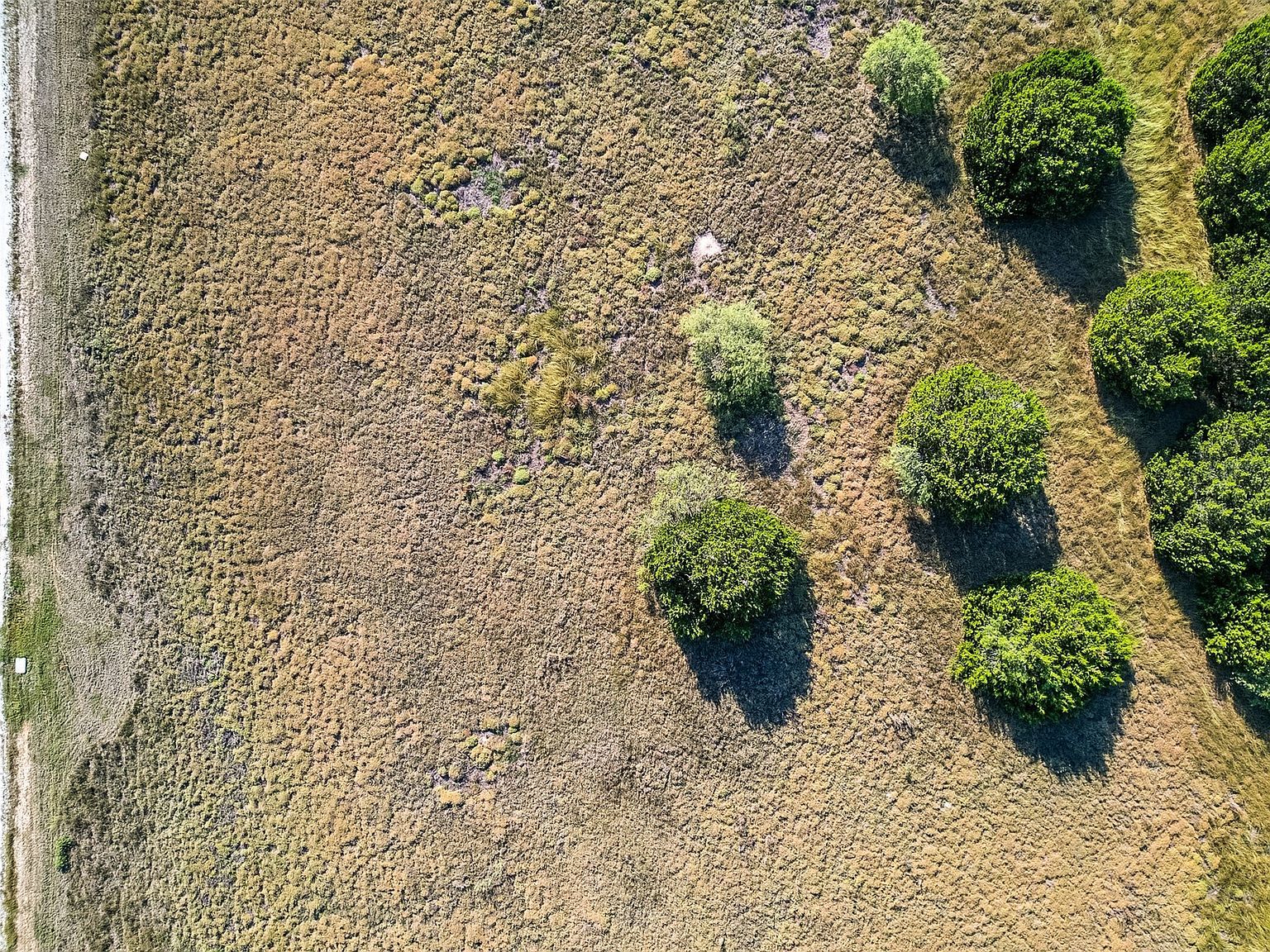 1644 White Bluff Dr Whitney, TX 76692 | Land/Lot