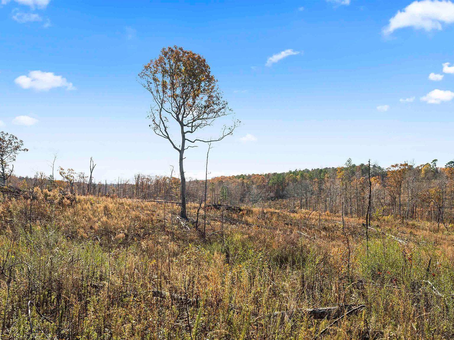 County Road 1069 #0 Vinemont, AL 35179  | Land/Lot