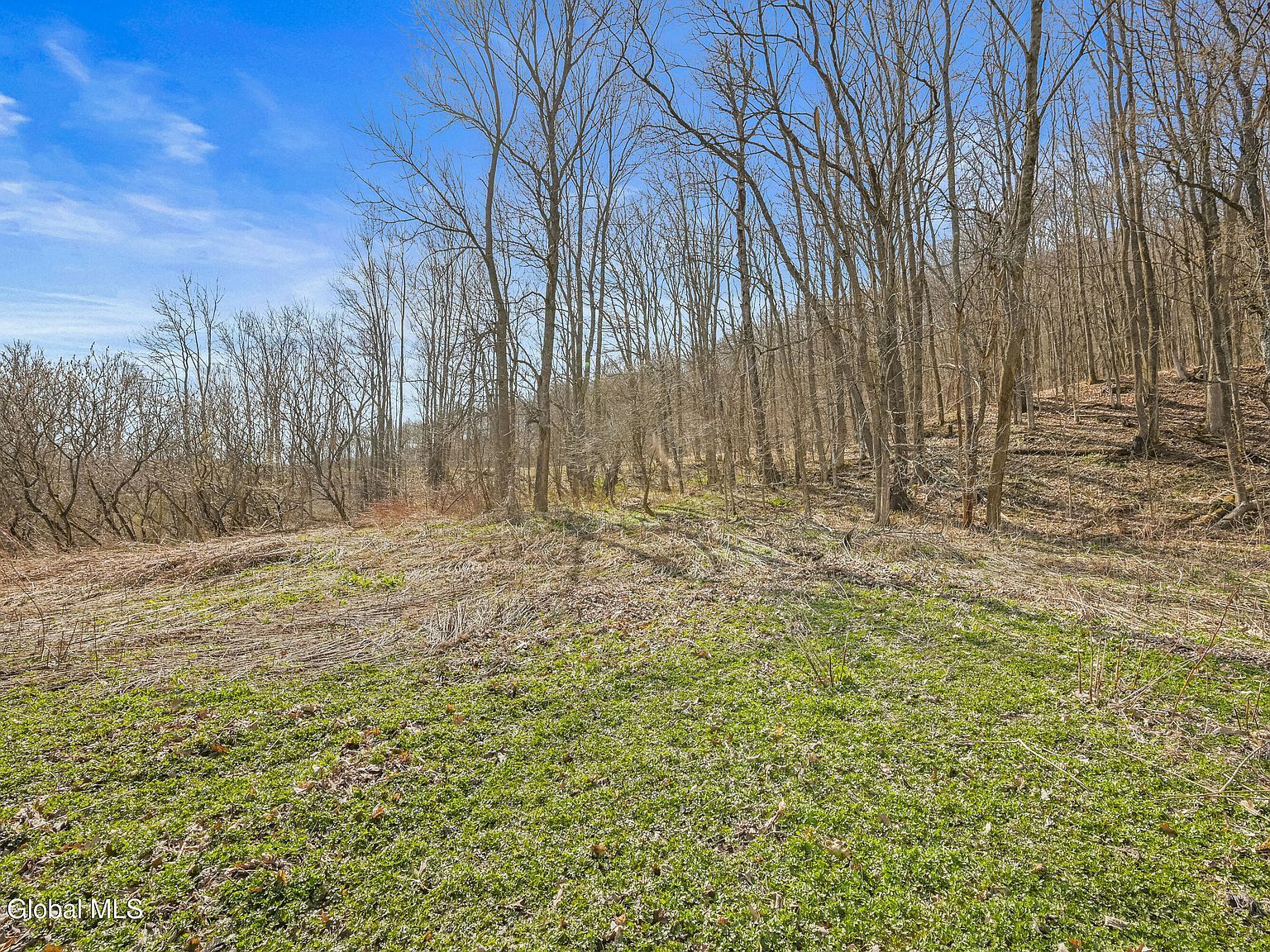 L9111 Lutheranville Rd E Worcester, NY 12197 | Land/Lot
