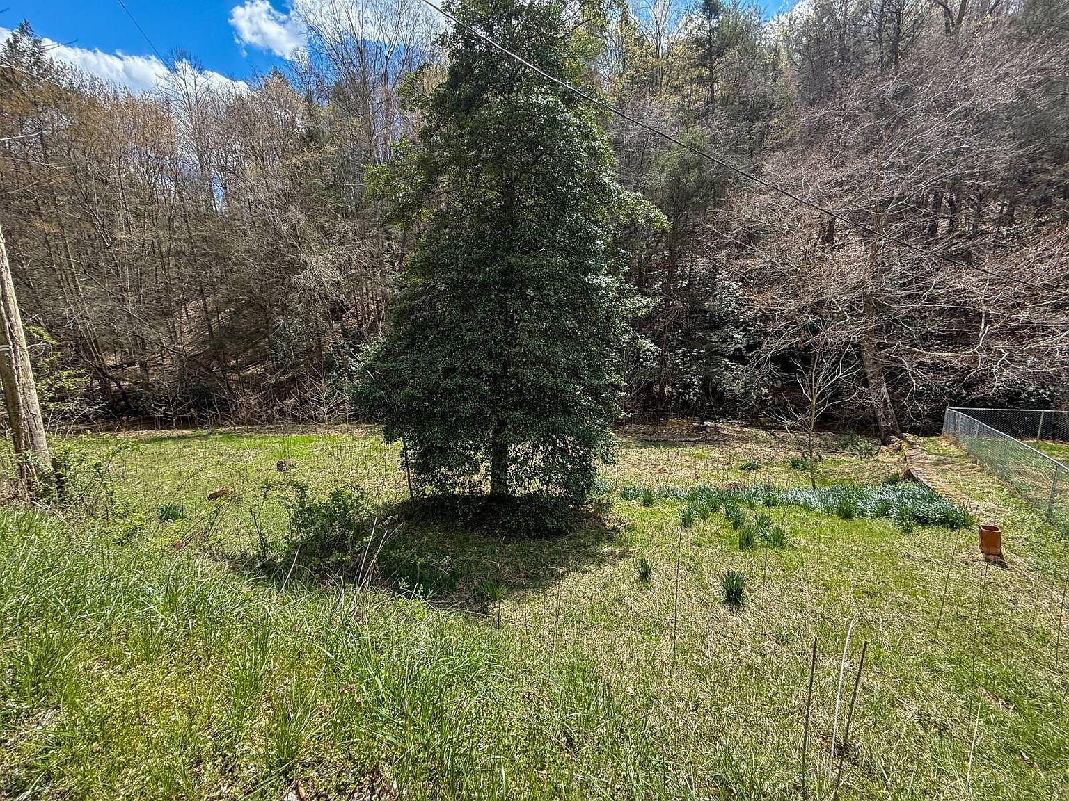229 Groves Rd Duck, WV 25063 | Land/Lot