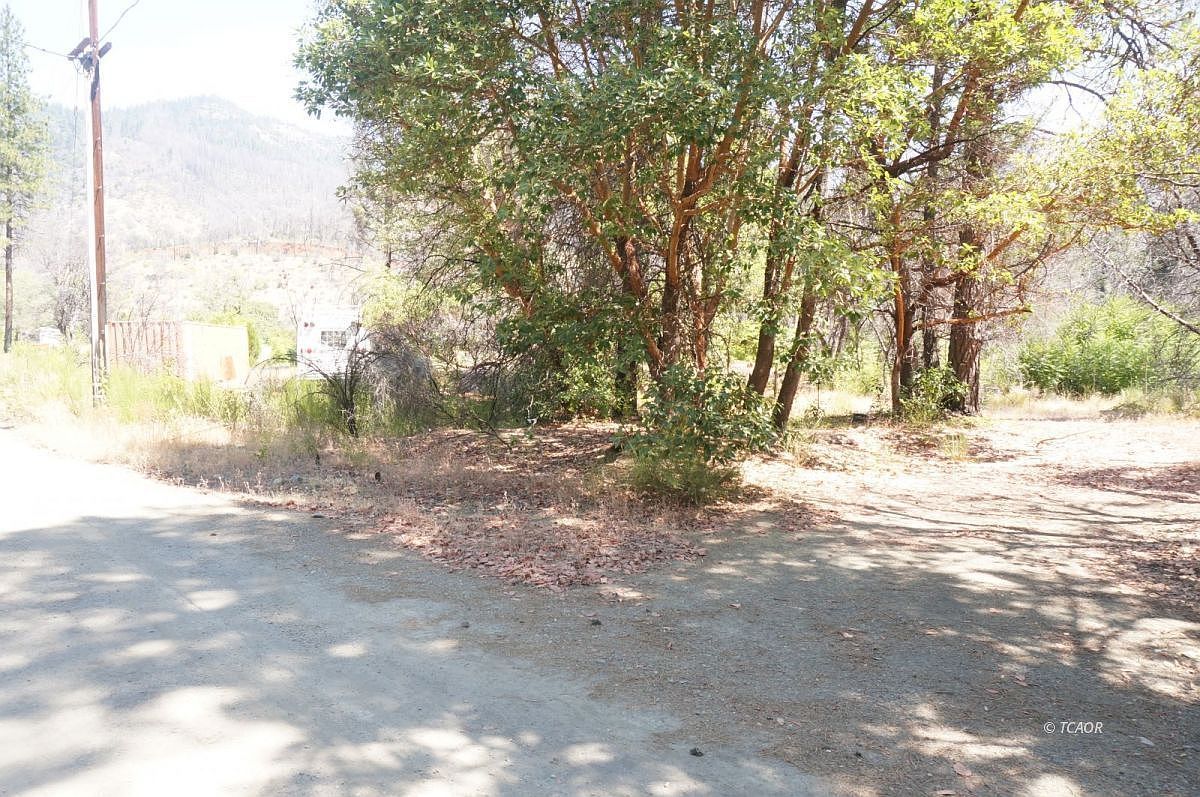 250 Bear Springs Rd Junction City, CA 96048  | Land/Lot