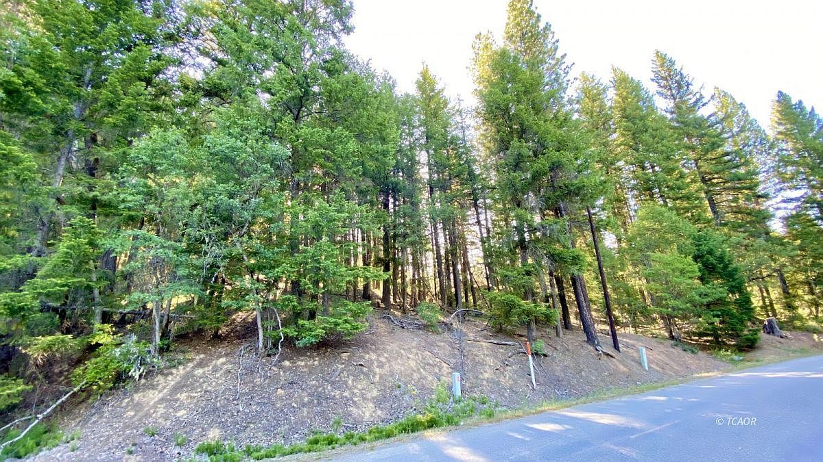 851 Trinity Pines Dr Hayfork, CA 96041  | Land/Lot