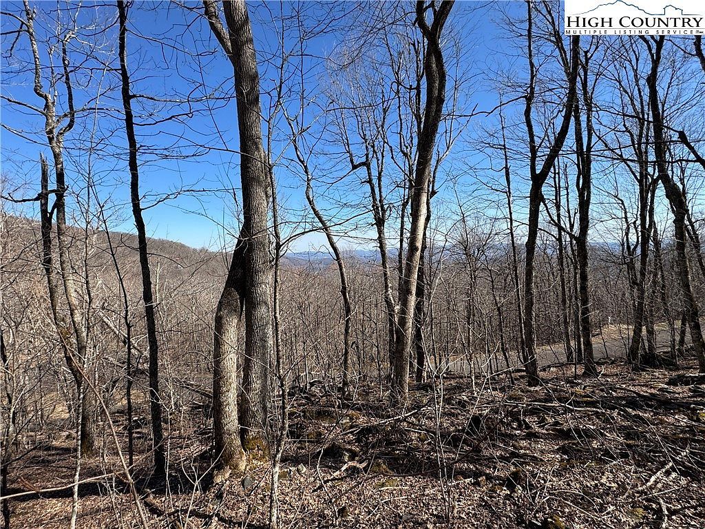 29 Crown Maple Ln W Jefferson, NC 28640  | Land/Lot