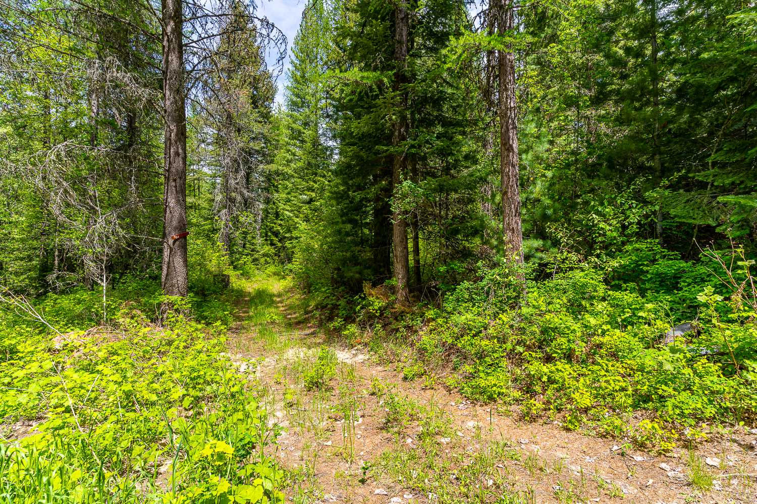 832 Beaver Valley Road, Newport, WA, USA, 99156 | Land/Lot