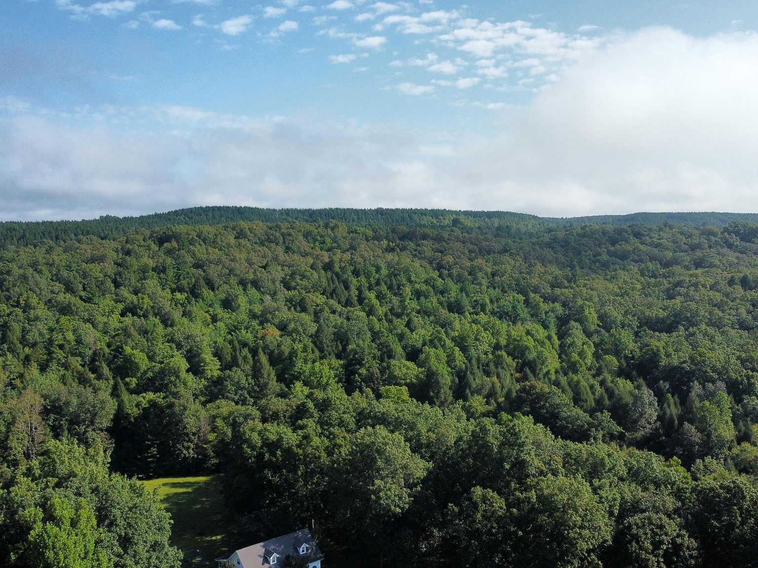 River Bend Dr Robbins, TN 37852 | Land/Lot