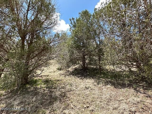 32727 W Bucks Rd Seligman, AZ 86337  | Land/Lot