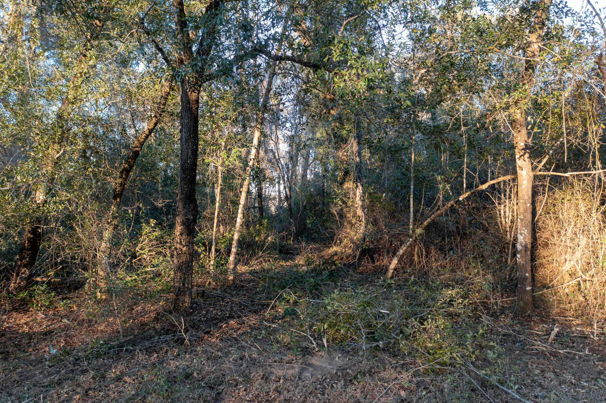 Lot 10 Paradise Lakes Road, Chipley, FL, 32428  | Land/Lot