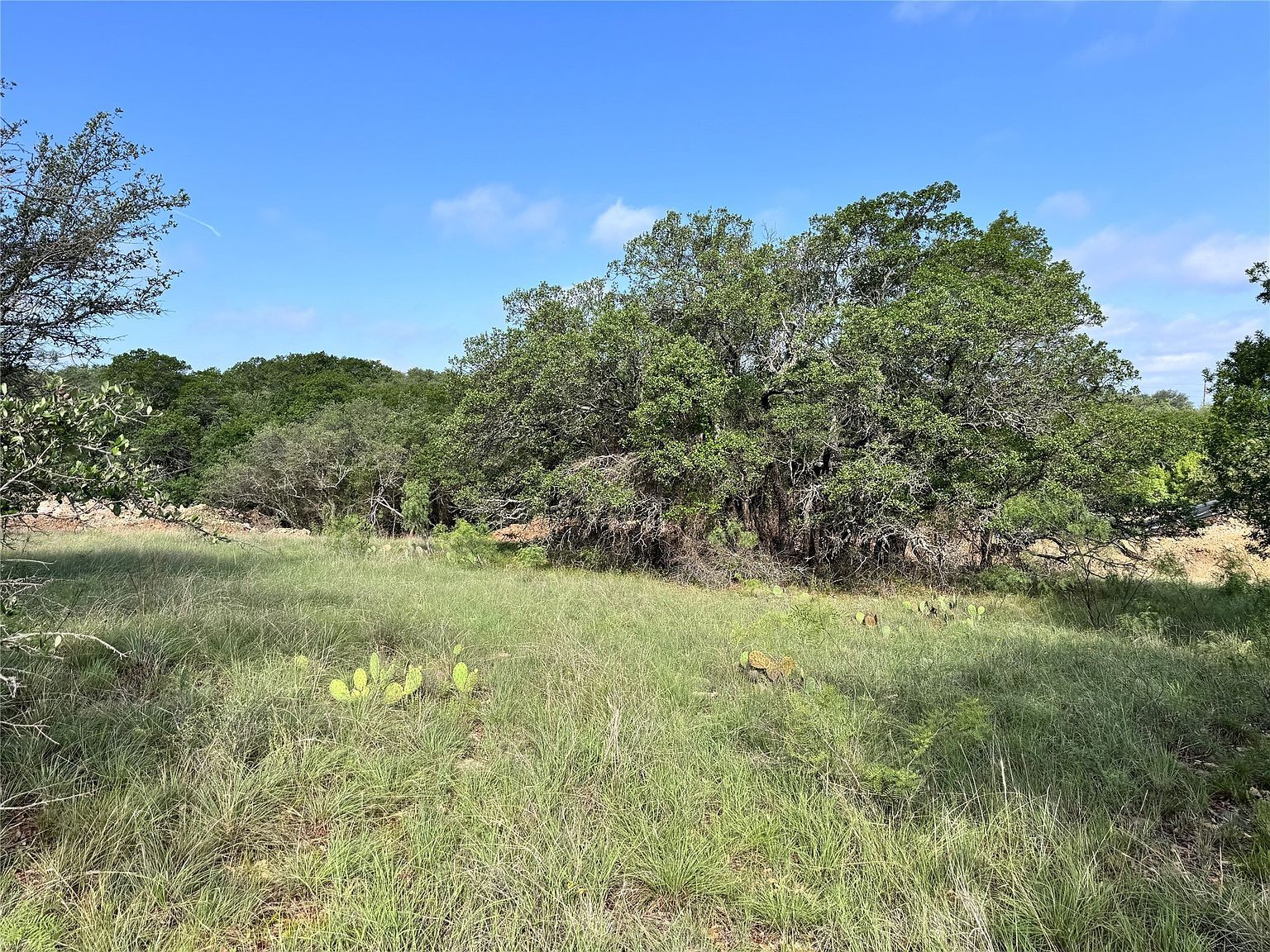 479 Oak Point Dr May, TX 76857 | Land/Lot