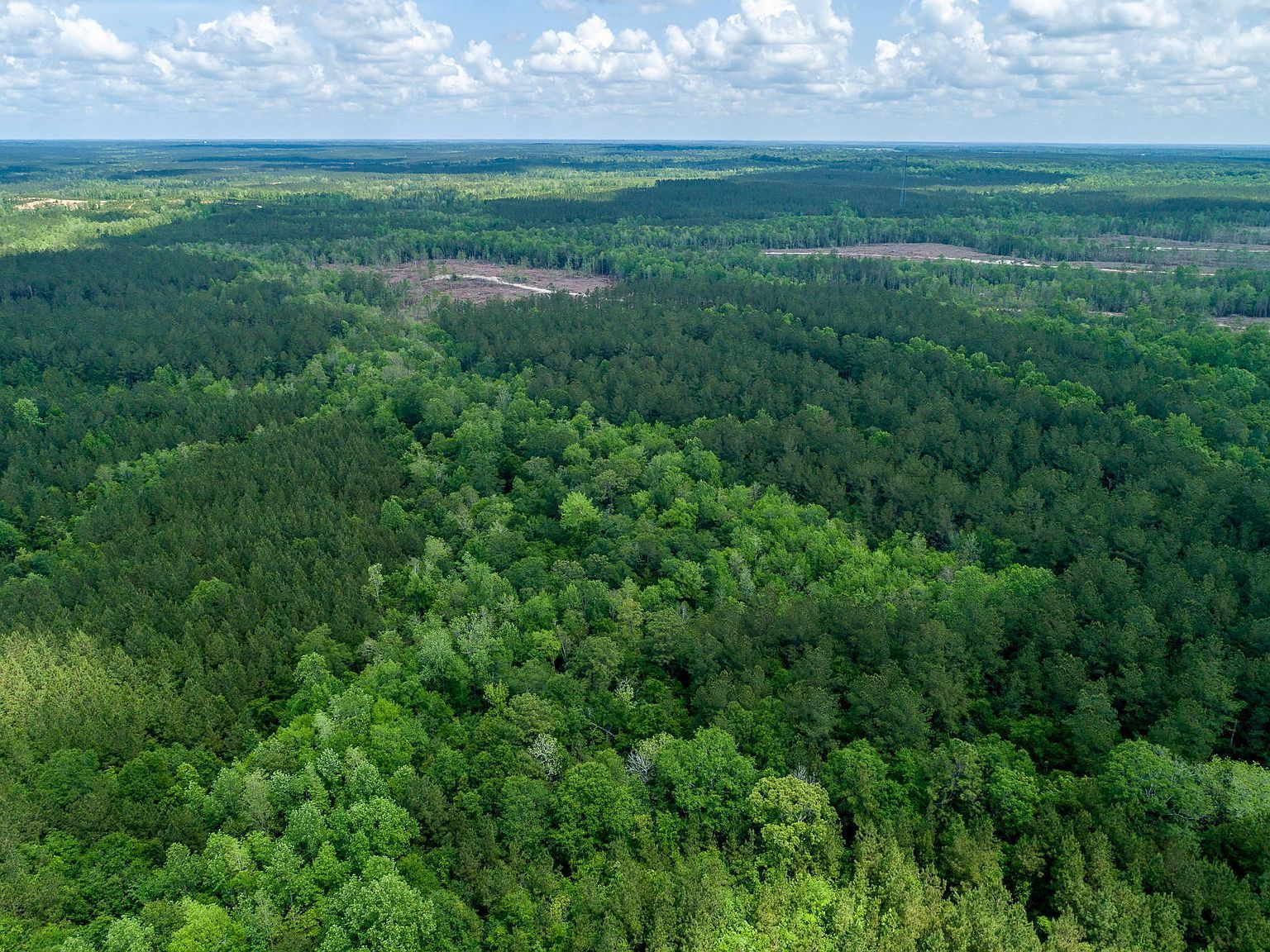 0 Nelson Rd Poplarville, MS 39470 | Land/Lot