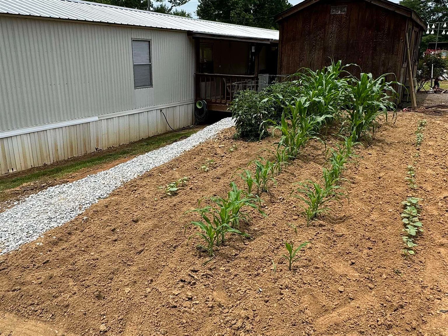 475 Tawbush Rd Trafford, AL 35172  | New build