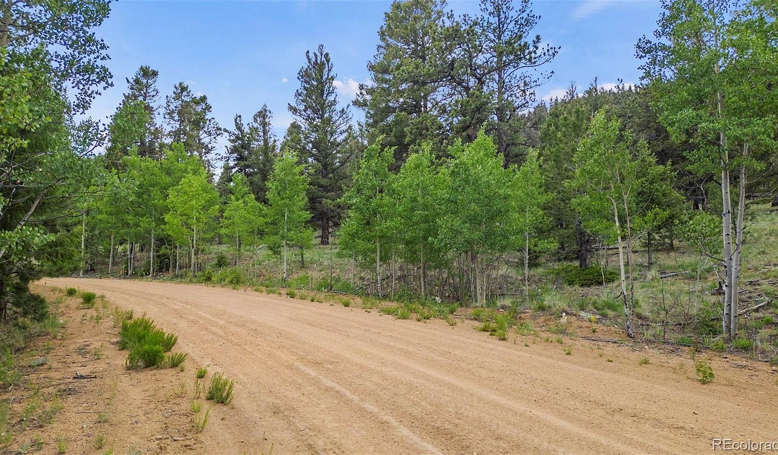 1833 Fitzsimmons Rd Hartsel, CO 80449  | Land/Lot