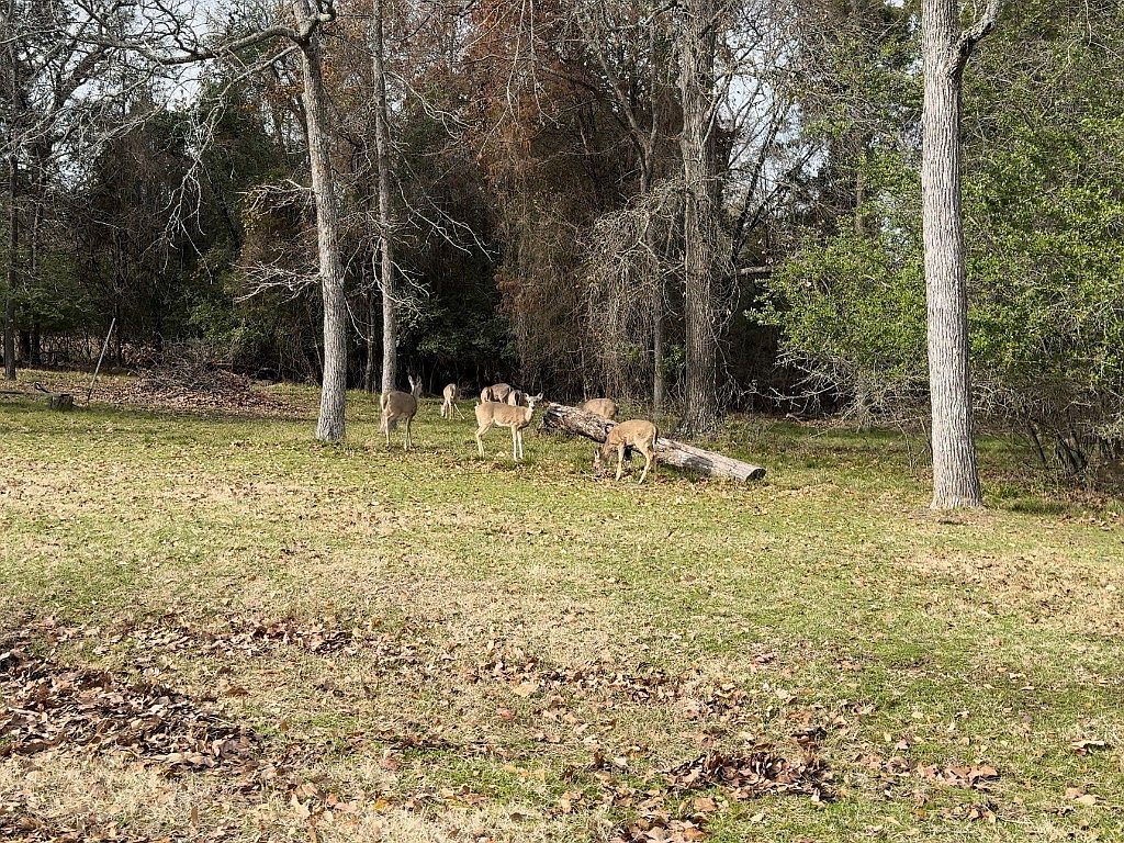 2119 Hickory Trce Mabank, TX 75156 | Land/Lot