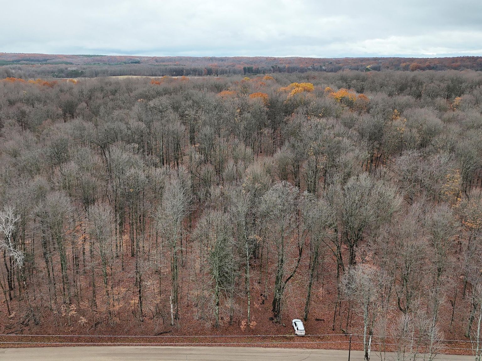 McClish Aka Bigge Copemish, MI 49625  | Land/Lot