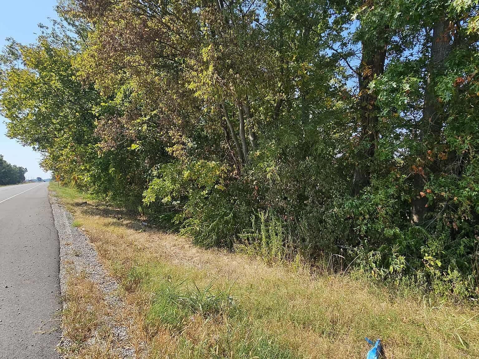 0 Route 3 Hwy Grand Tower, IL 62942 - Thumbnail 2