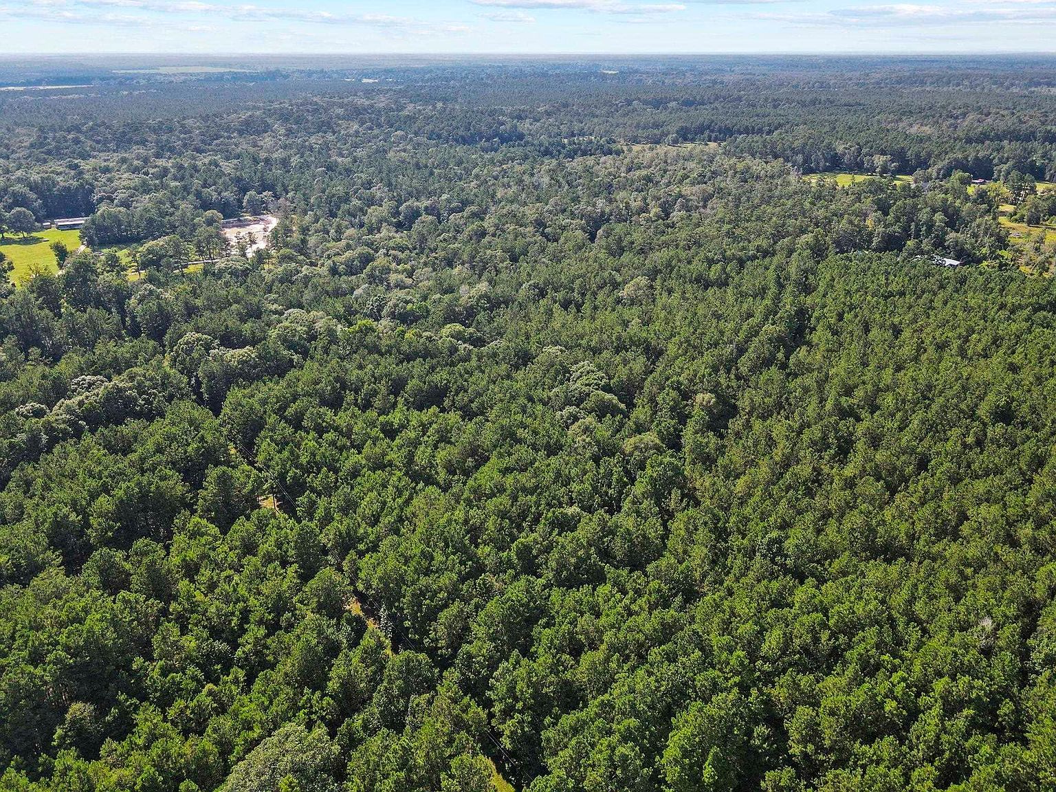 0 Gandy Rd Kountze, TX 77625  | Land/Lot