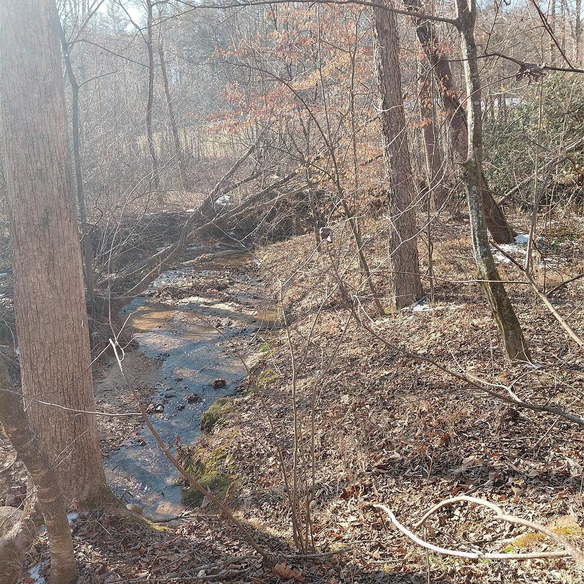 3825 Wood Glen Dr #5 Morganton, NC 28655 - Thumbnail 2