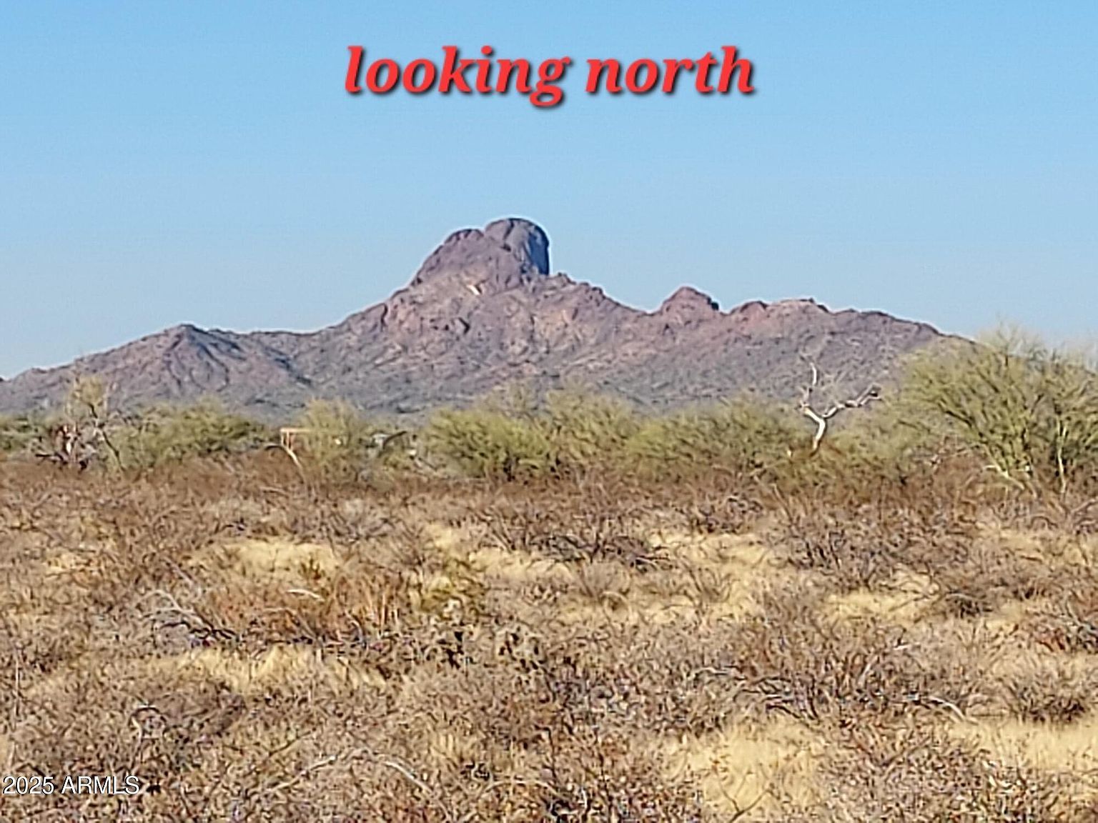 Xx00 W Villa Cassandra Way #203 Wittmann, AZ 85361 - Thumbnail 2