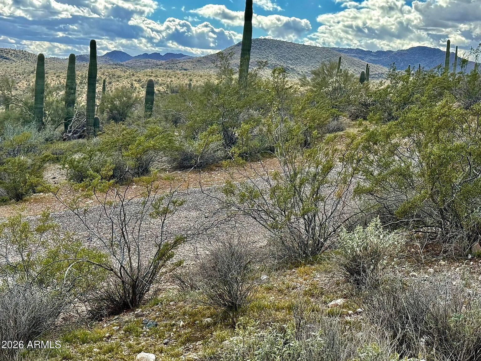 Xx00 W Grand Ave Morristown, AZ 85342 - Thumbnail 2