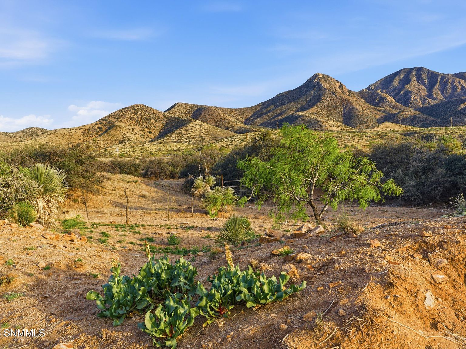 6100 County Road 87 Las Cruces, NM 88011  | Land/Lot