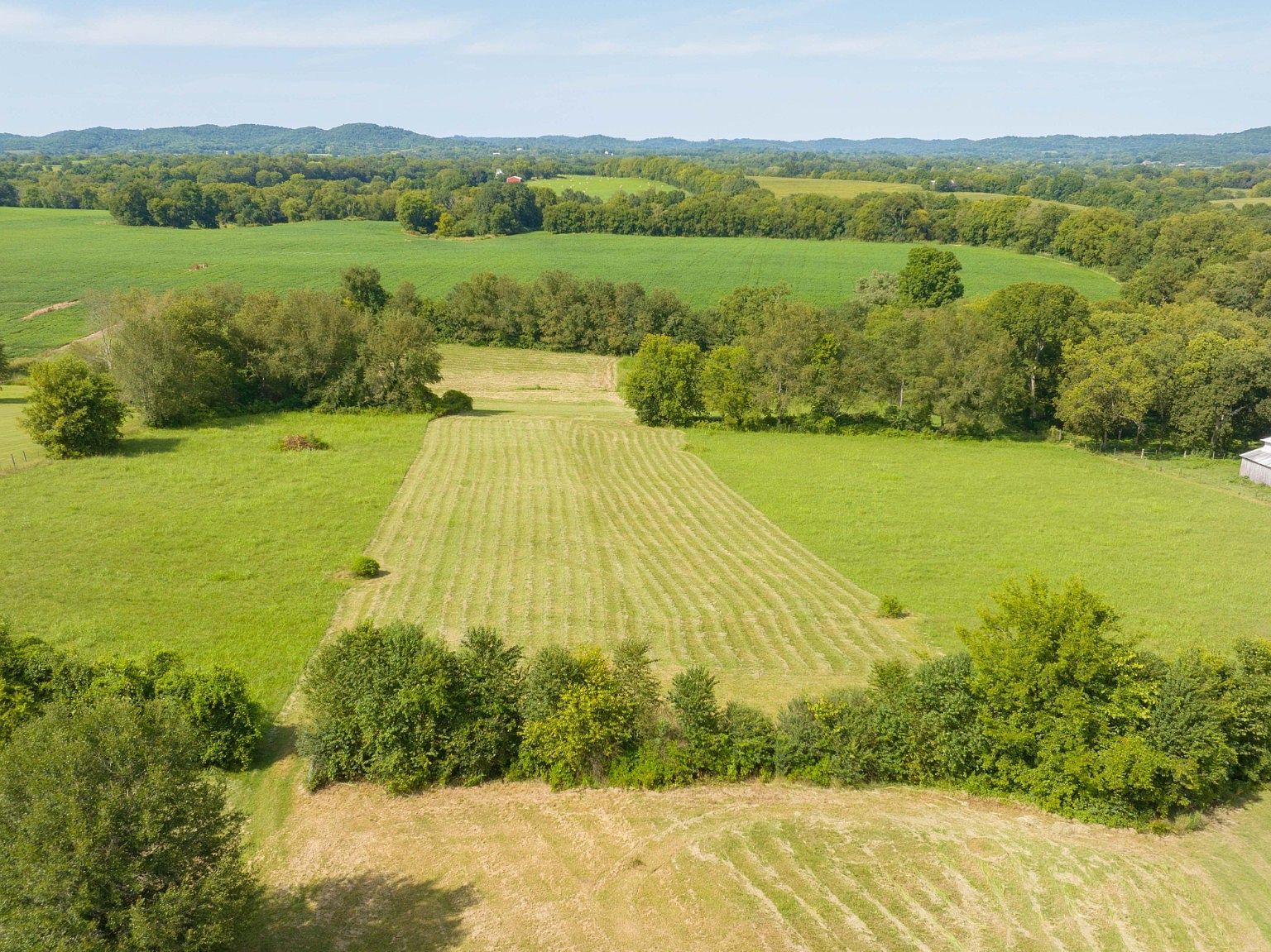 515 Branham Mill Rd Gallatin, TN 37066 - Thumbnail 2