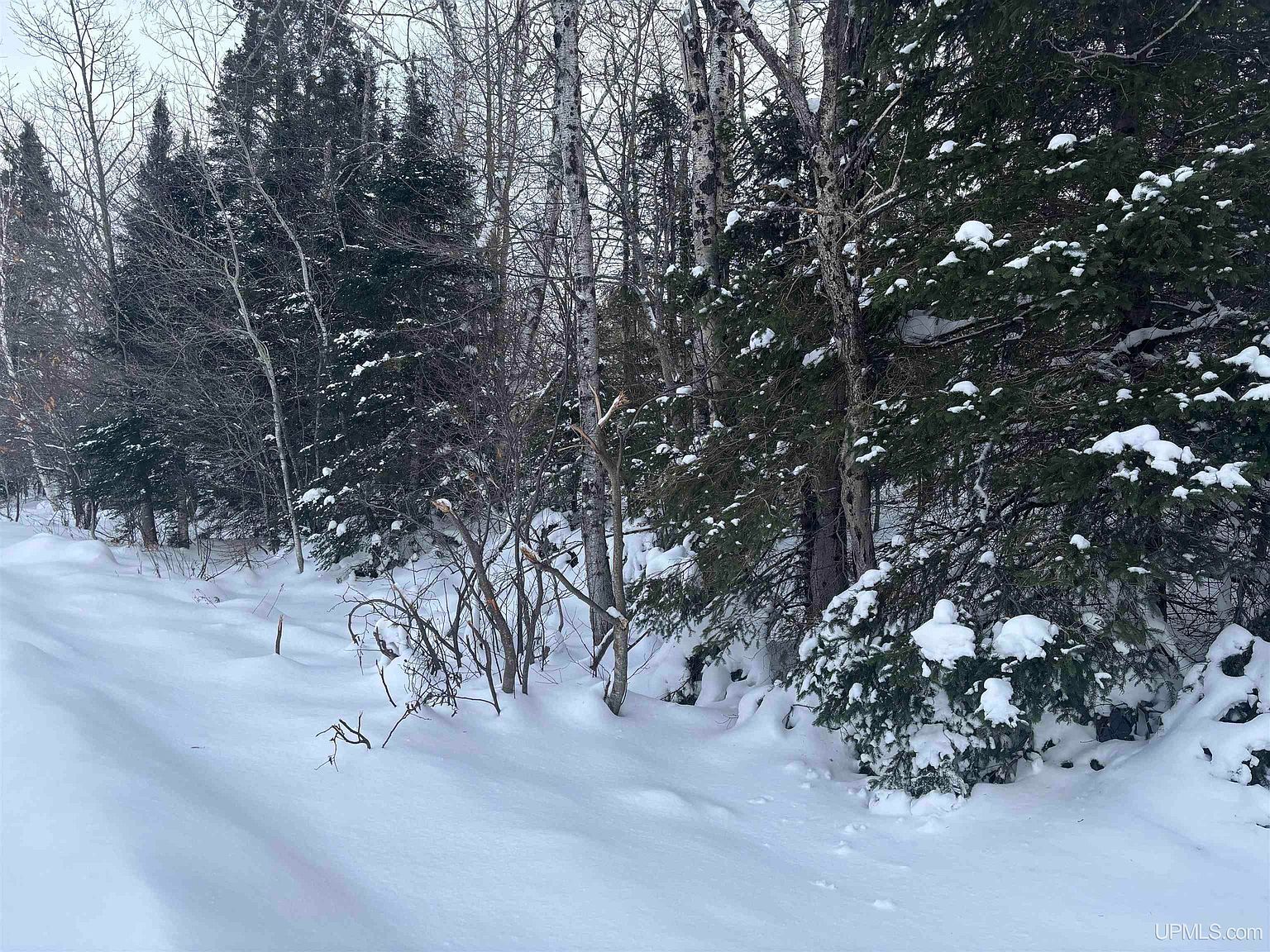 Al County Rd Champion, MI 49814 - Thumbnail 2