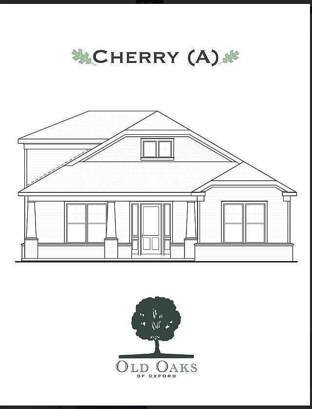 811 Bear Oak Point Oxford, MS 38655 - Thumbnail 2