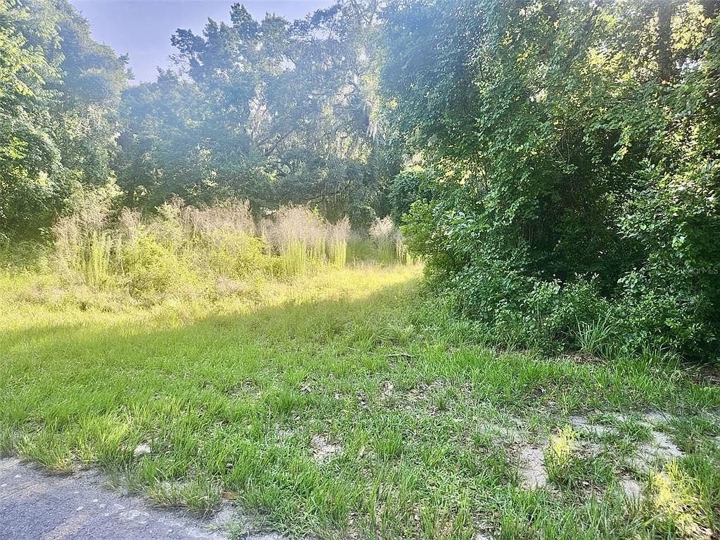 6518 S Withlapopka Dr #1 Floral City, FL 34436 - Thumbnail 2