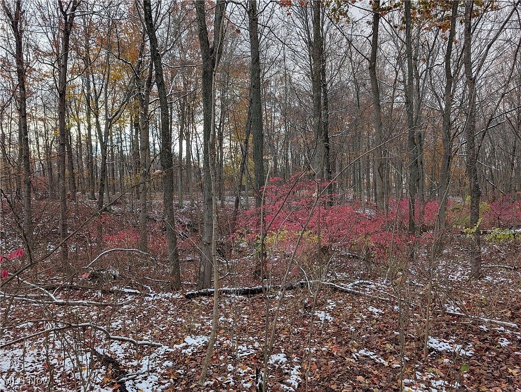 Greenwich Rd Lodi, OH 44254 - Thumbnail 2