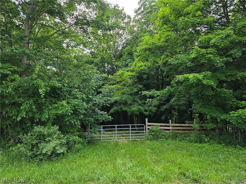 Greenwich Road Jamison Rd Lodi, OH 44254  | Land/Lot