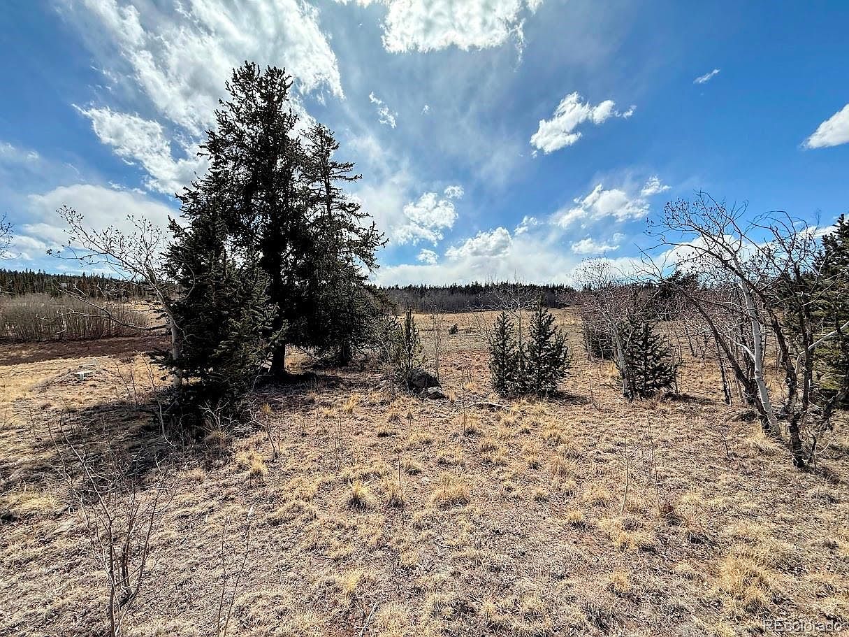 1238 Overland Cir Como, CO 80456 - Thumbnail 2