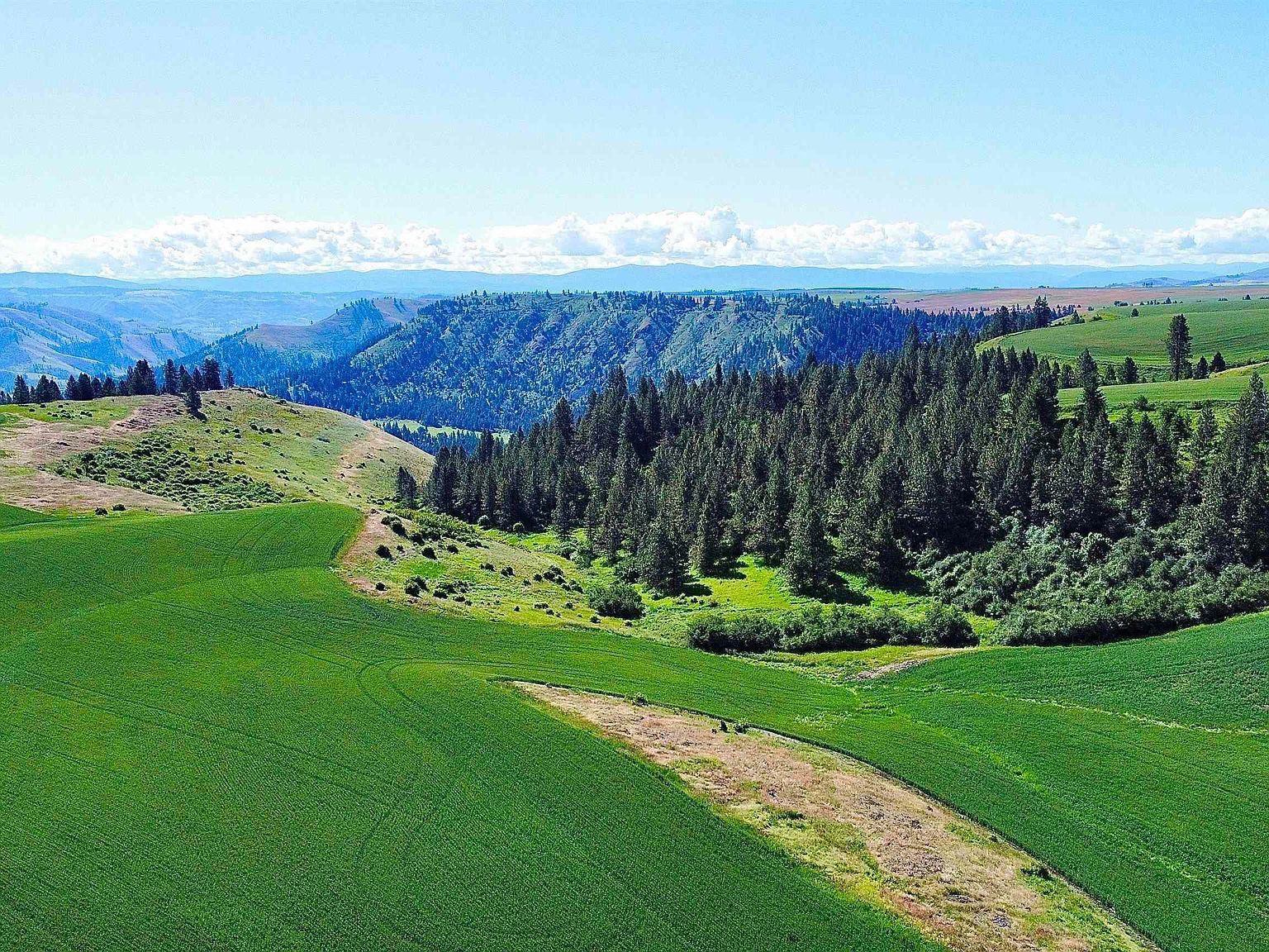 Basket Rd PARCEL 1 Nezperce, ID 83543 - Thumbnail 2