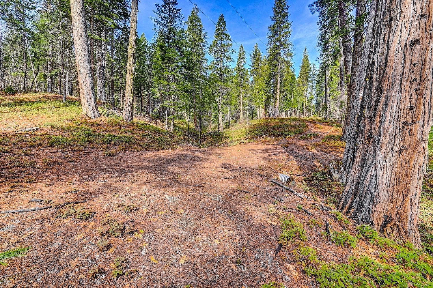 3488 Moran Rd #3184 Avery, CA 95224 - Thumbnail 2