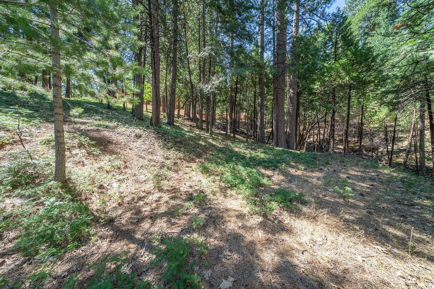 2595 Chamonix Dr Arnold, CA 95223 - Thumbnail 2