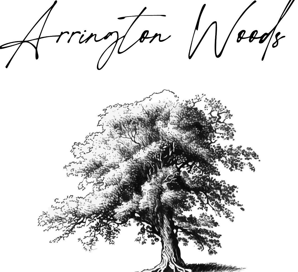 0 Wilder St LOT 10 Arlington, TN 38002 - Thumbnail 2