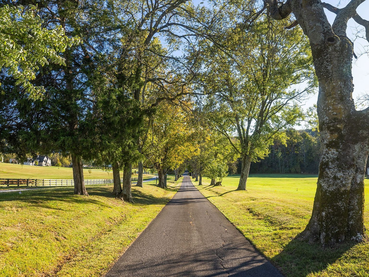 2133 Allisona Rd Eagleville, TN 37060 - Thumbnail 2