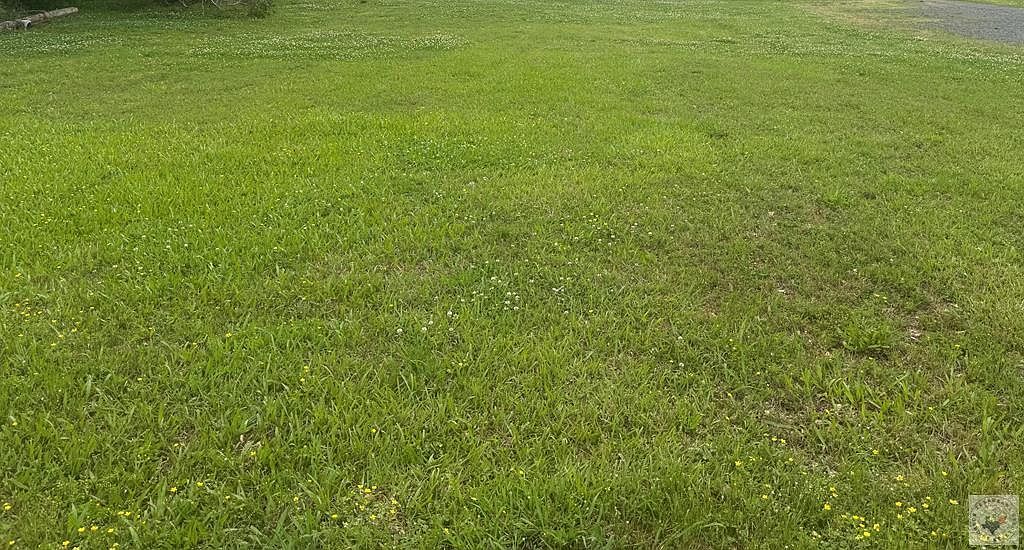 Odom St Hooks, TX 75561 | Land/Lot