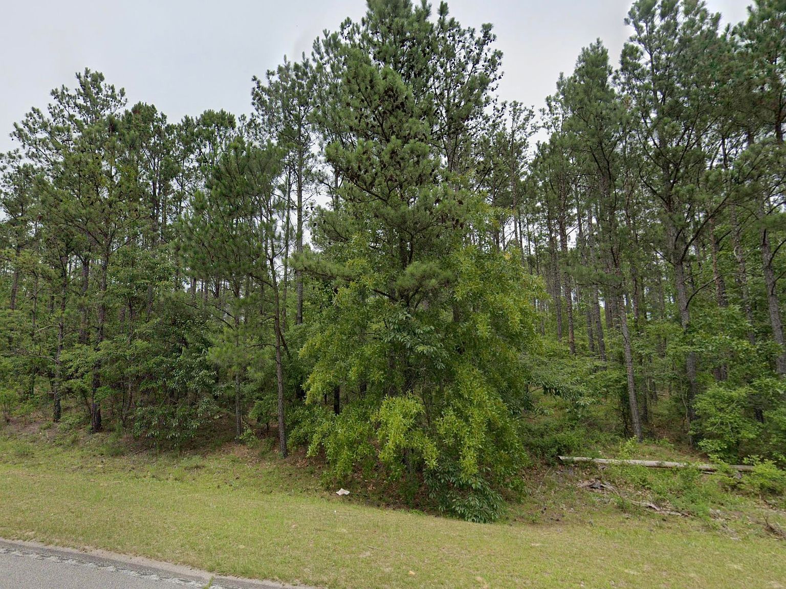 1550 Jones Rd Kershaw, SC 29067 - Thumbnail 2