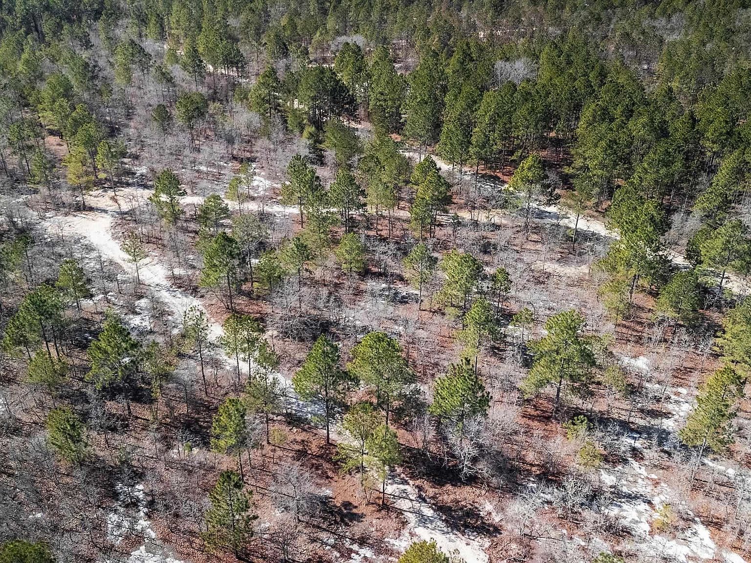 1D Spring Creek Rd Lugoff, SC 29078 - Thumbnail 2