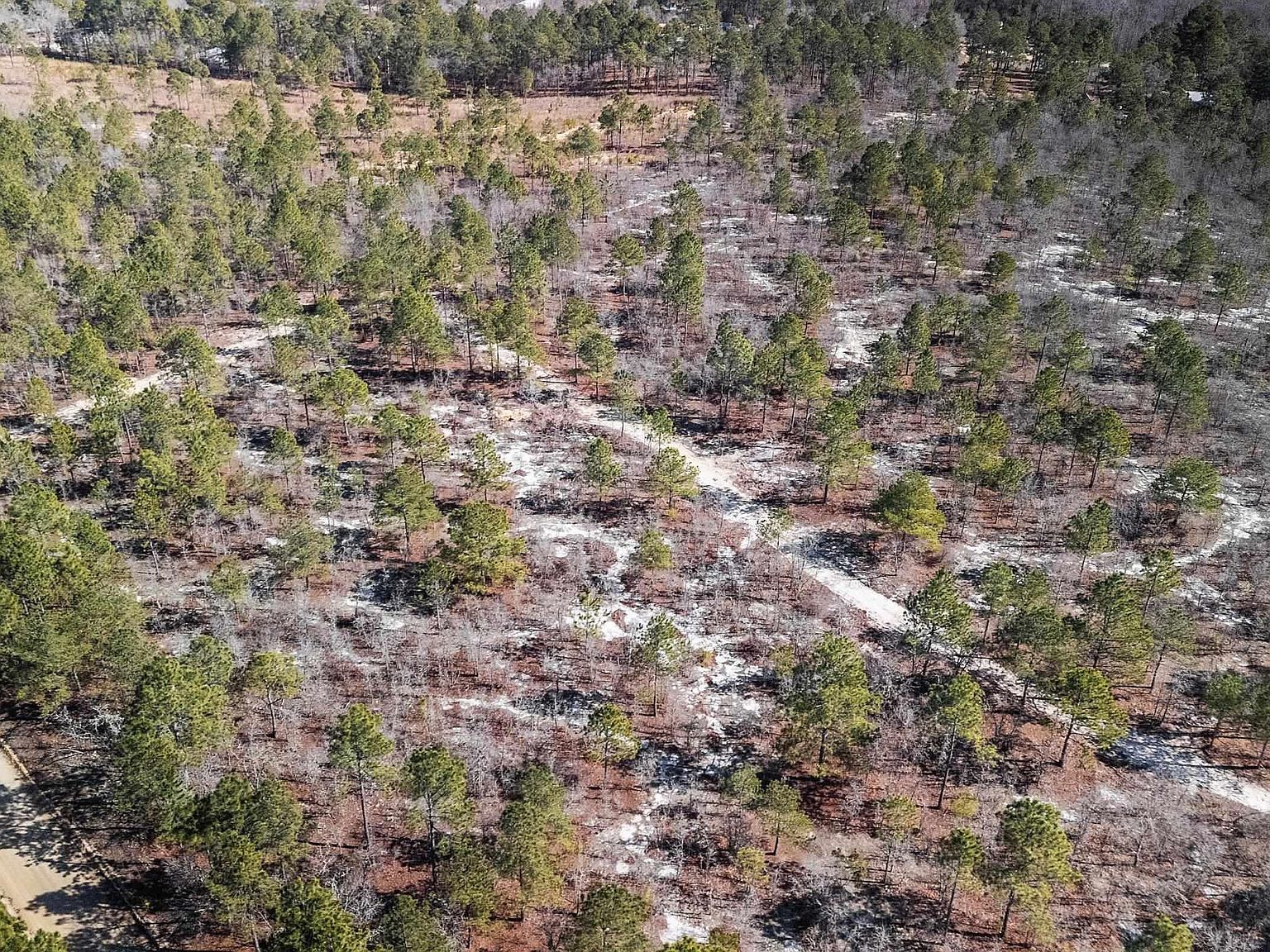 1C Spring Creek Rd Lugoff, SC 29078 - Thumbnail 2