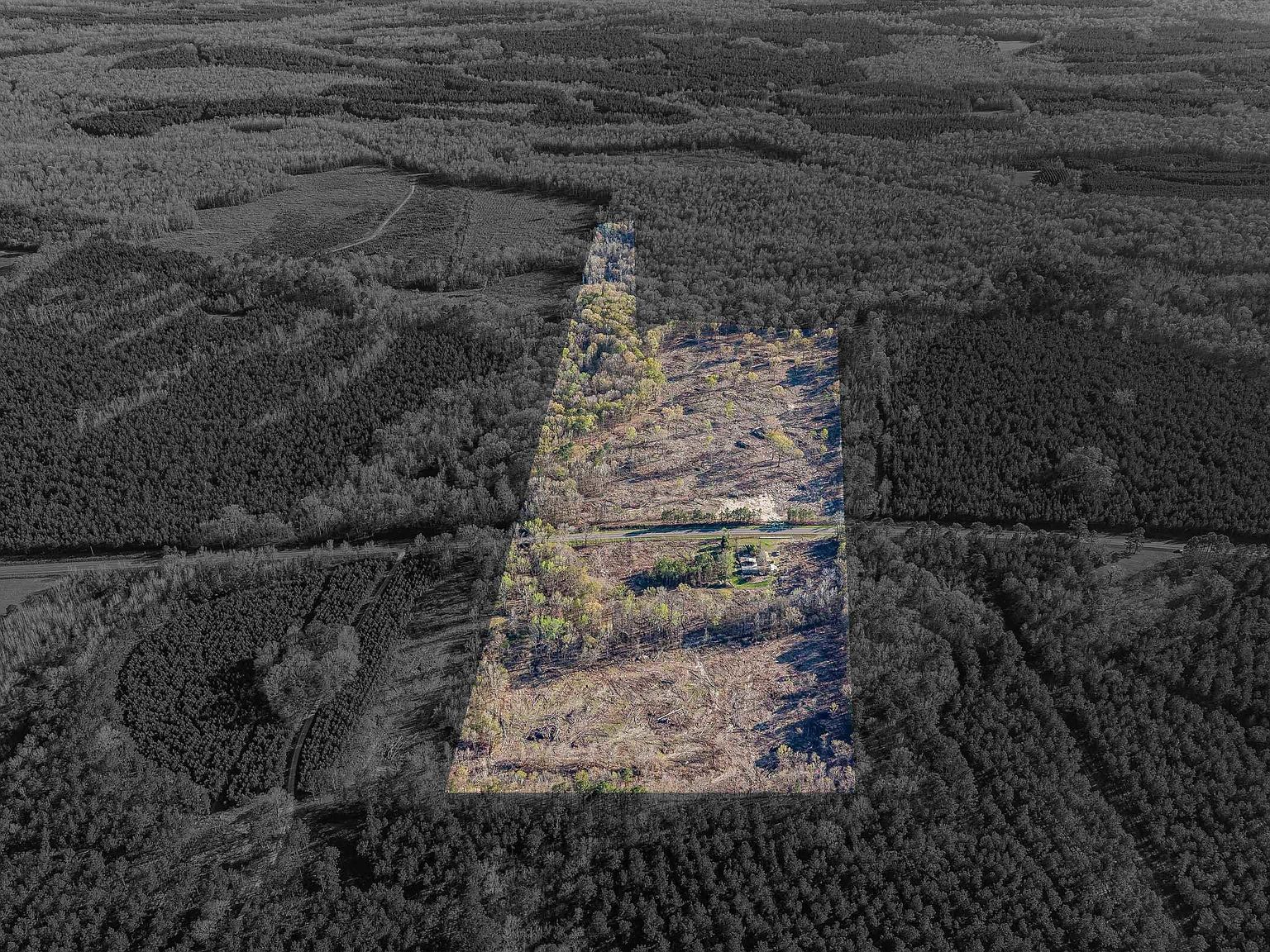 1856 River Rd Greeleyville, SC 29056  | Land/Lot