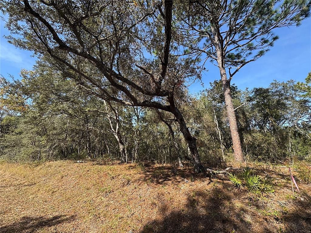 SE 115th Place Rd LOT 6 Ocklawaha, FL 32179 - Thumbnail 2