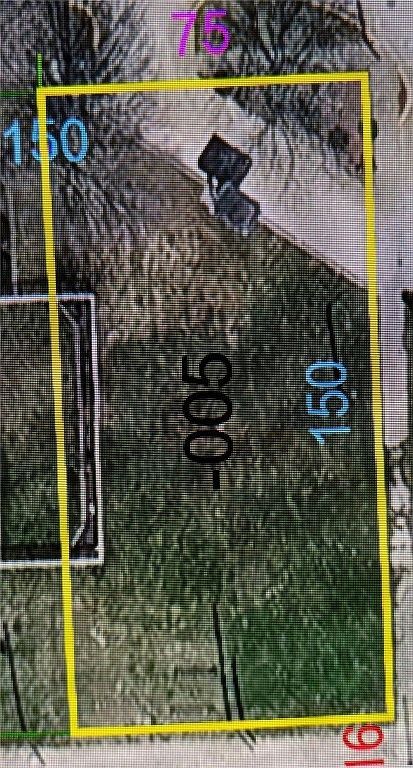 118 N Pennsylvania St Chrisman, IL 61924 - Thumbnail 2