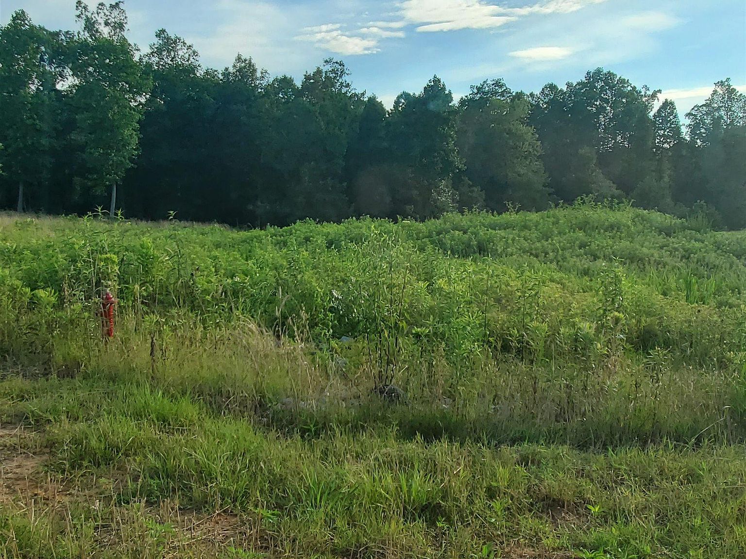 LOT 7 County Road 373 Crane Hill, AL 35053 - Thumbnail 2