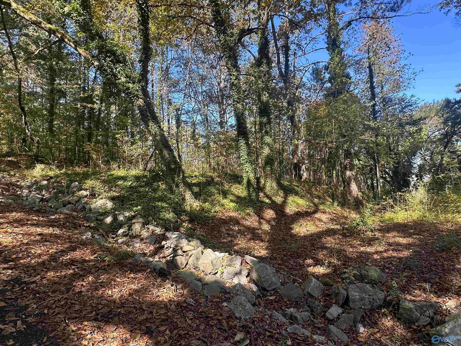 4 Smith Ln Guntersville, AL 35976 - Thumbnail 2