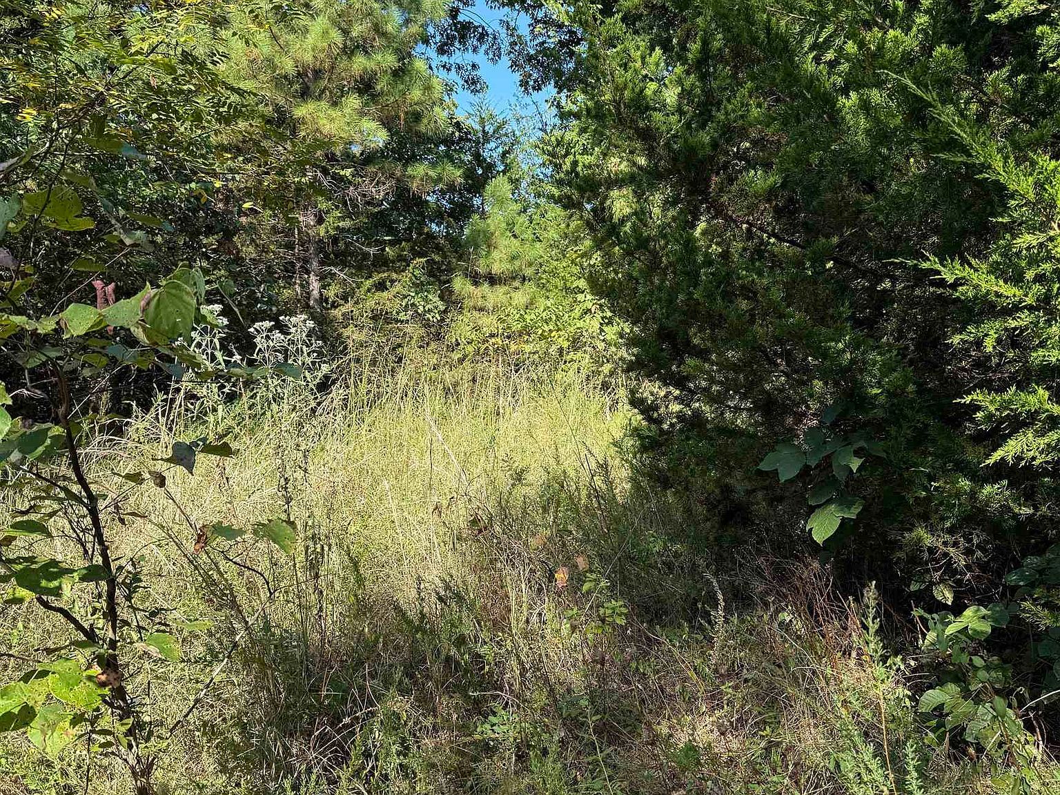 1213 Ridge Cir, Horseshoe Bend, AR, 72512 - Thumbnail 2