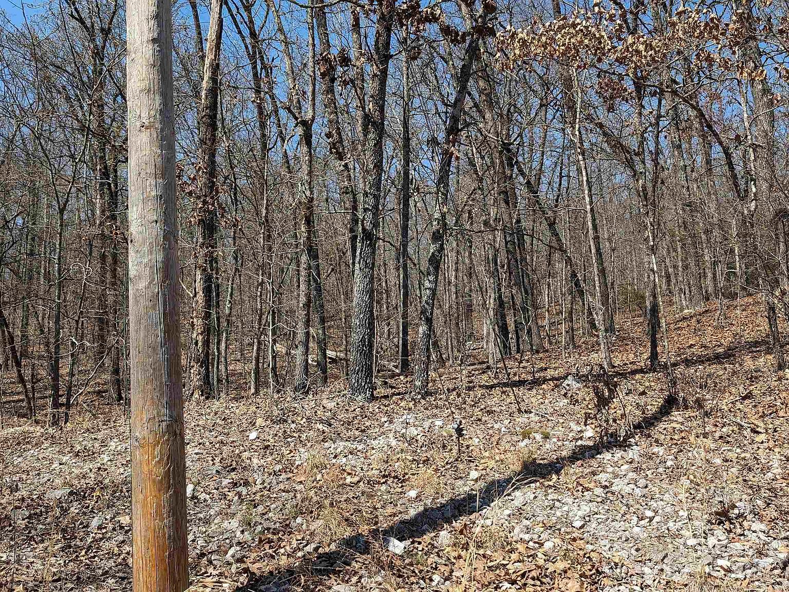 31 Ridgecrest Dr Hardy, AR 72542 - Thumbnail 2