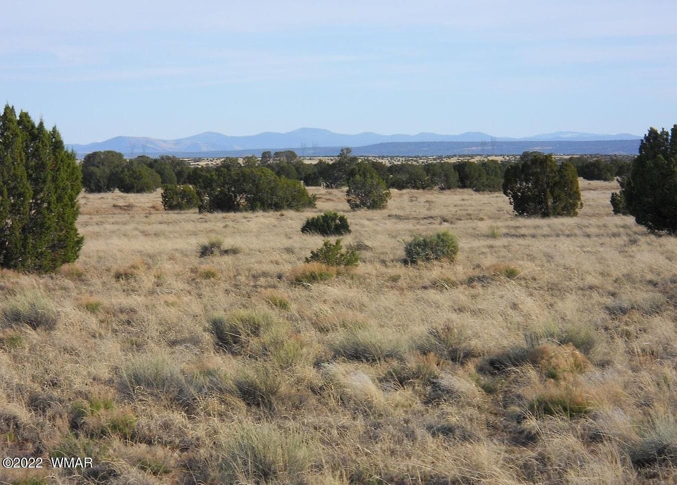 19 County Rd Concho, AZ 85924 - Thumbnail 2
