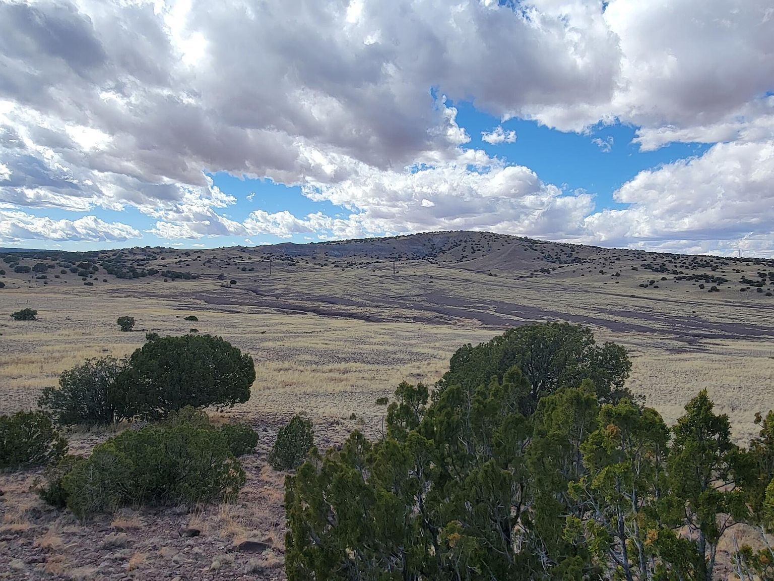 County Road N5337 Concho, AZ 85924 - Thumbnail 2