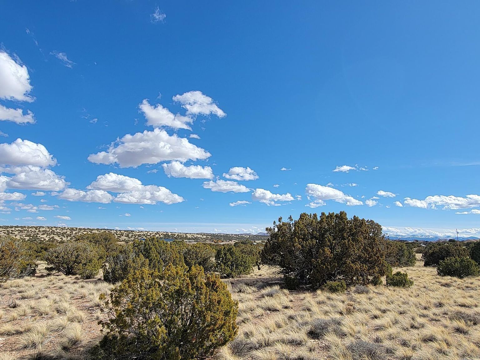 56 County Road 5066 Concho, AZ 85924 - Thumbnail 2